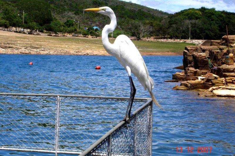 Pousada Araras Lago De Furnas Sao Jose da Barra Εξωτερικό φωτογραφία